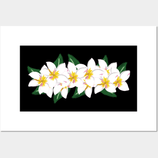 Hawaii Plumeria Flowers Posters and Art